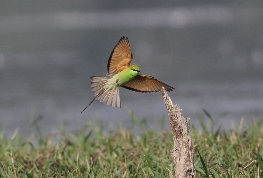 Photograph by Vikram Bahal