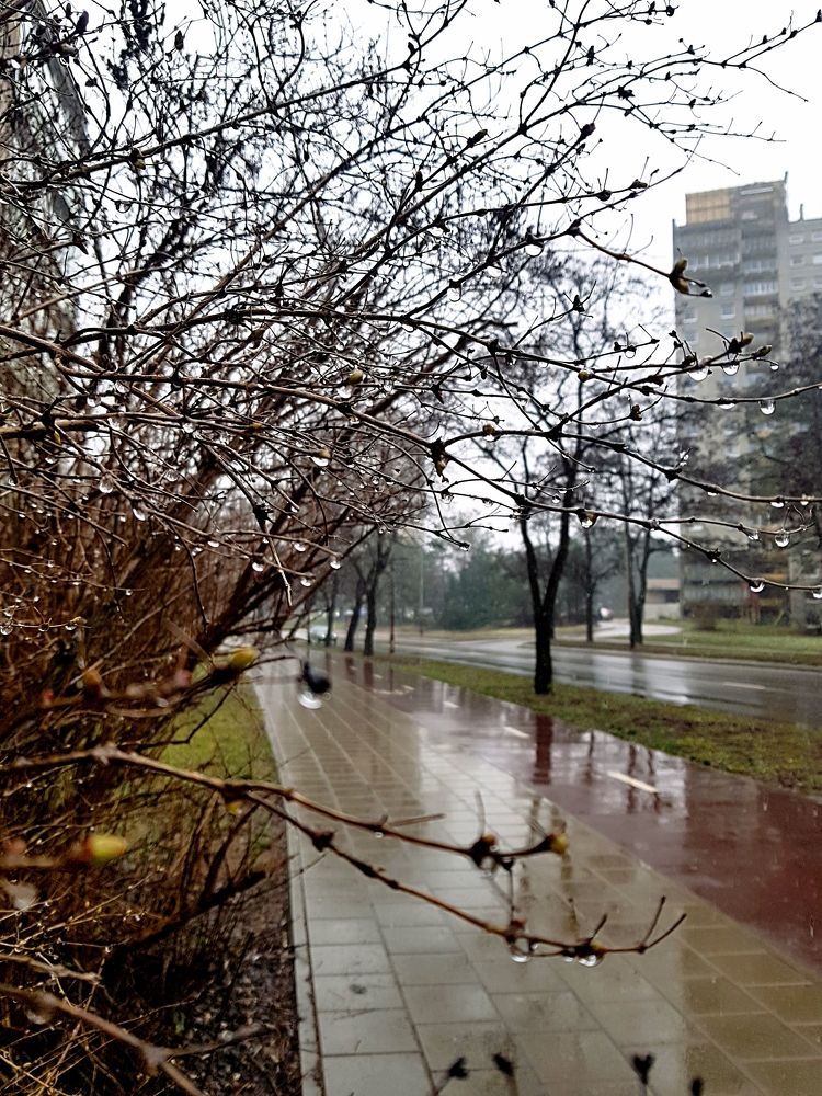 Photograph by Dmitrij Zykunov