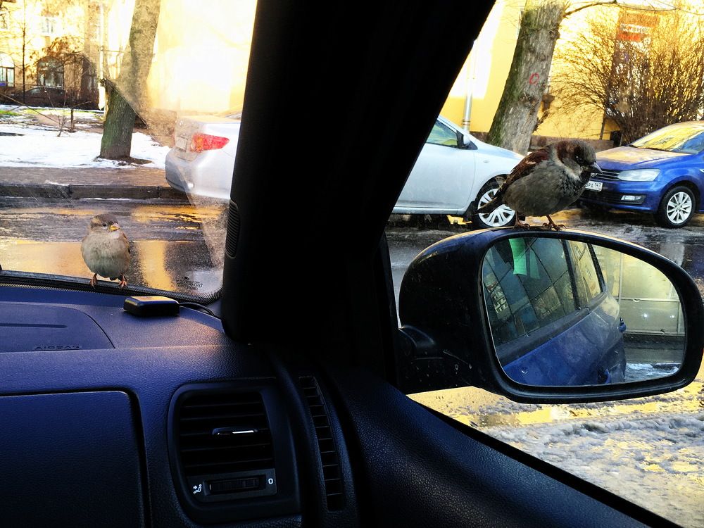 Пустите погреться...!