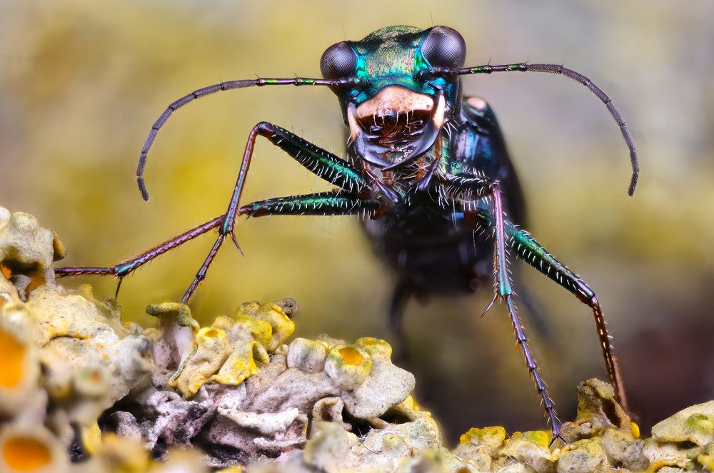 Photograph by Юрий Юрьевич