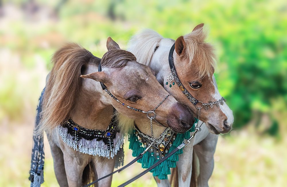 Photograph by Короткевич Валерия