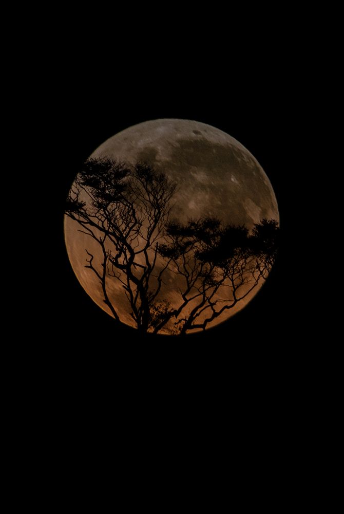 Photograph by Sérgio Santos