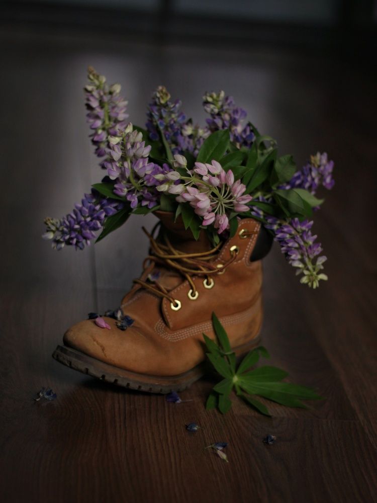 Photograph by Анжелика Медведева