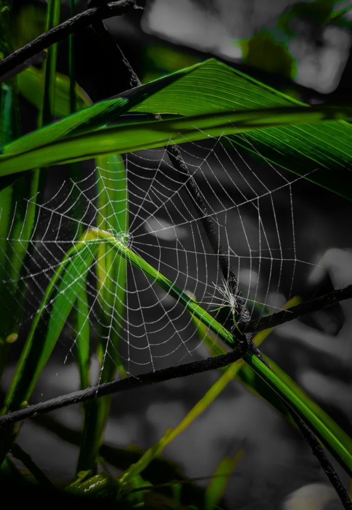 Photograph by Наталья Чередниченко