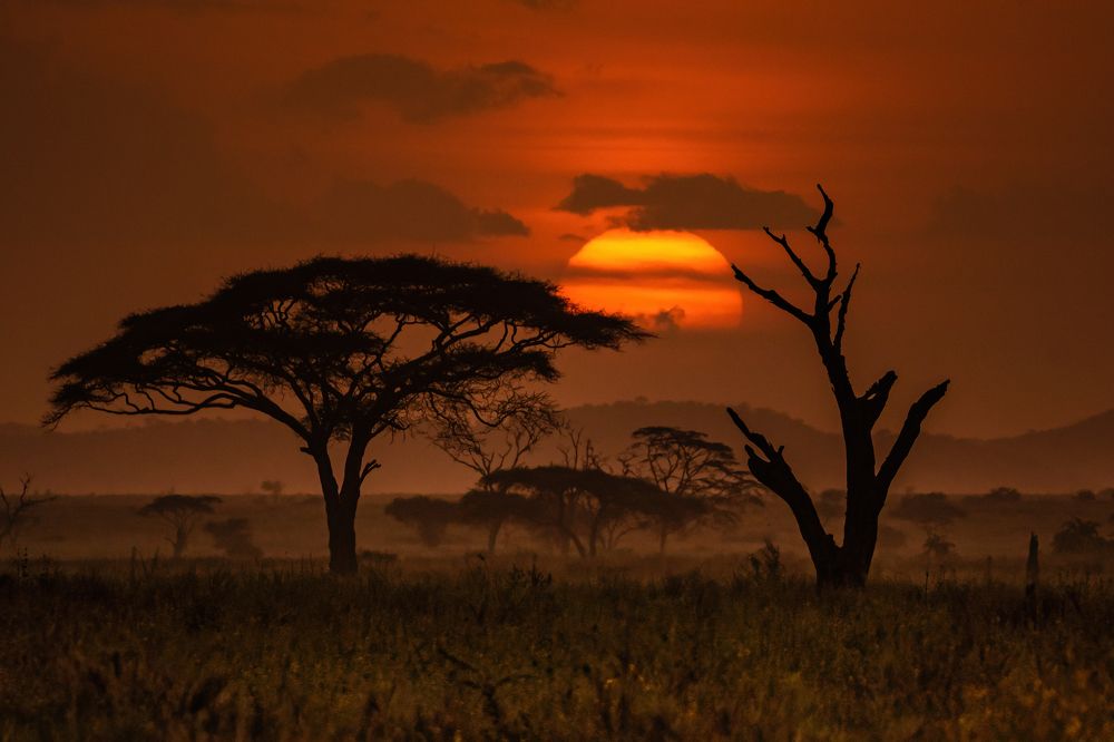 Photograph by Adrian Grigore