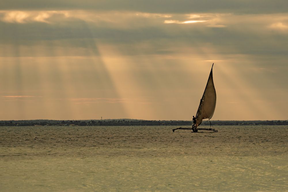 Photograph by Adrian Grigore