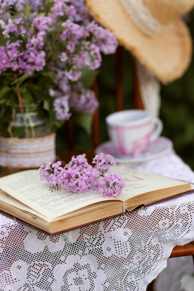 Фотография автора Маргарита Курносова