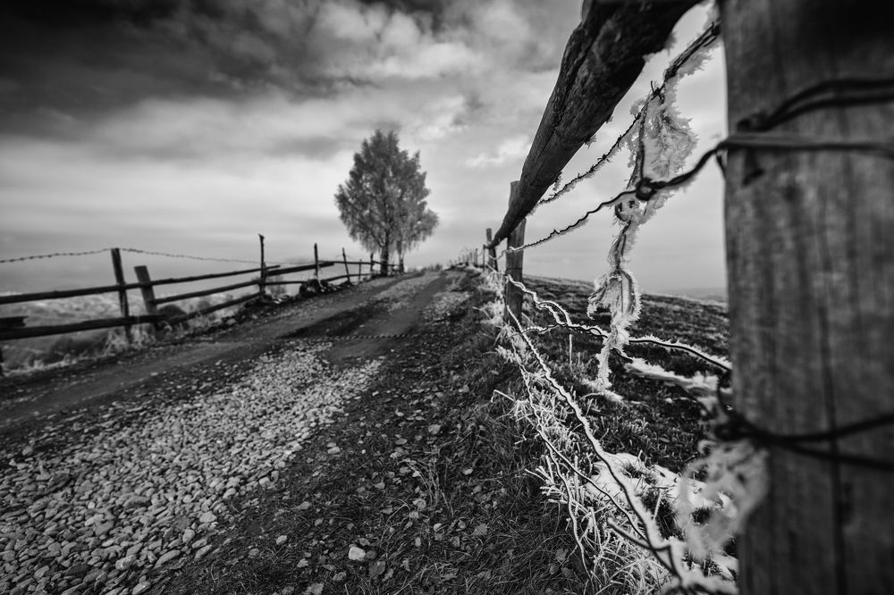 Photograph by Adrian Grigore