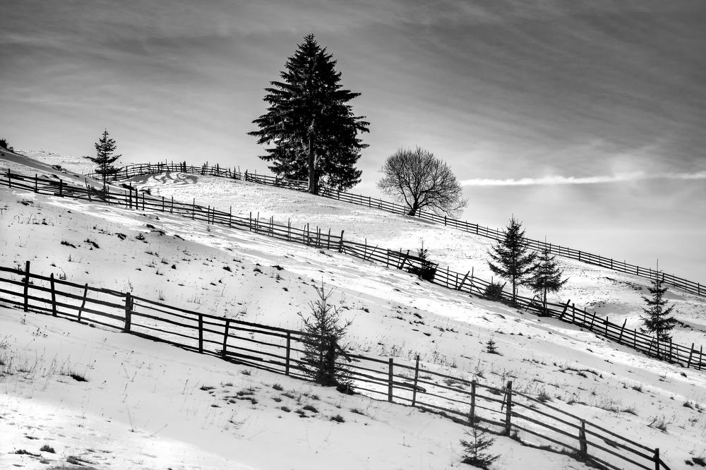 Photograph by Adrian Grigore