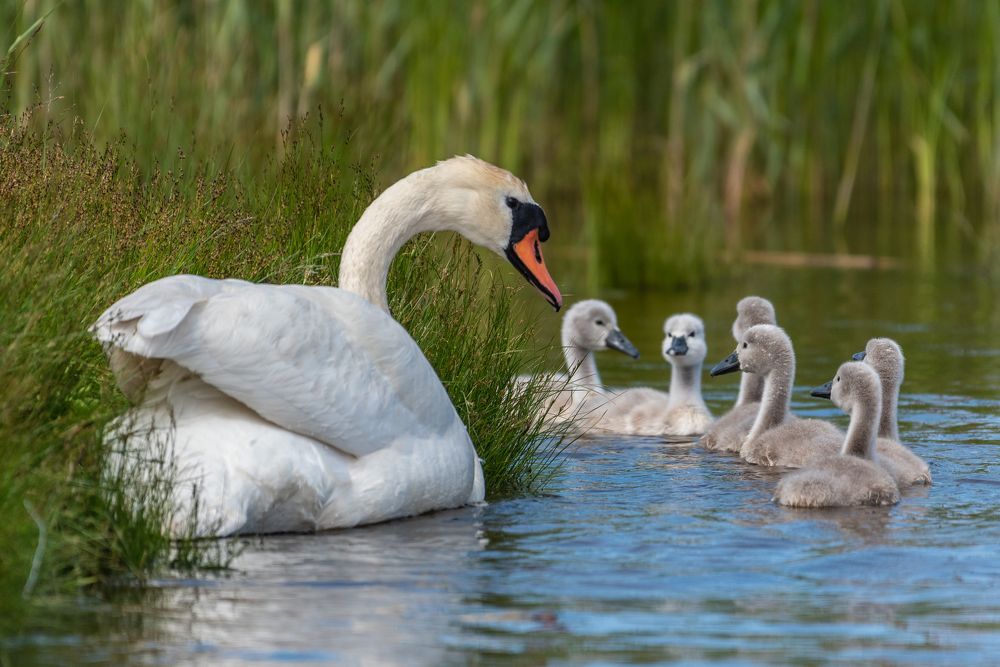 Фотография автора Юрий Макаров