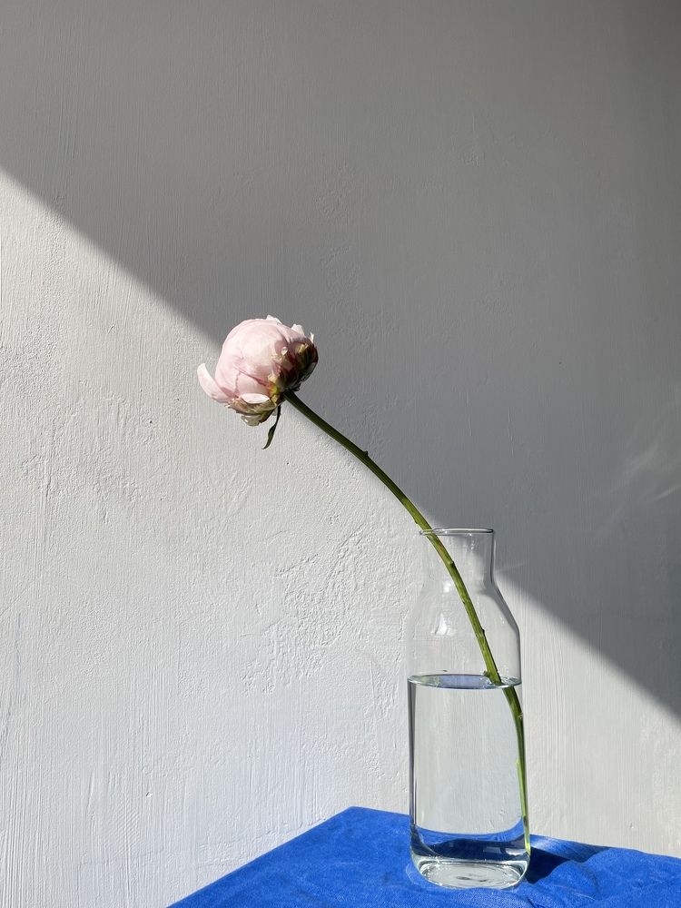 Photograph by jmabra