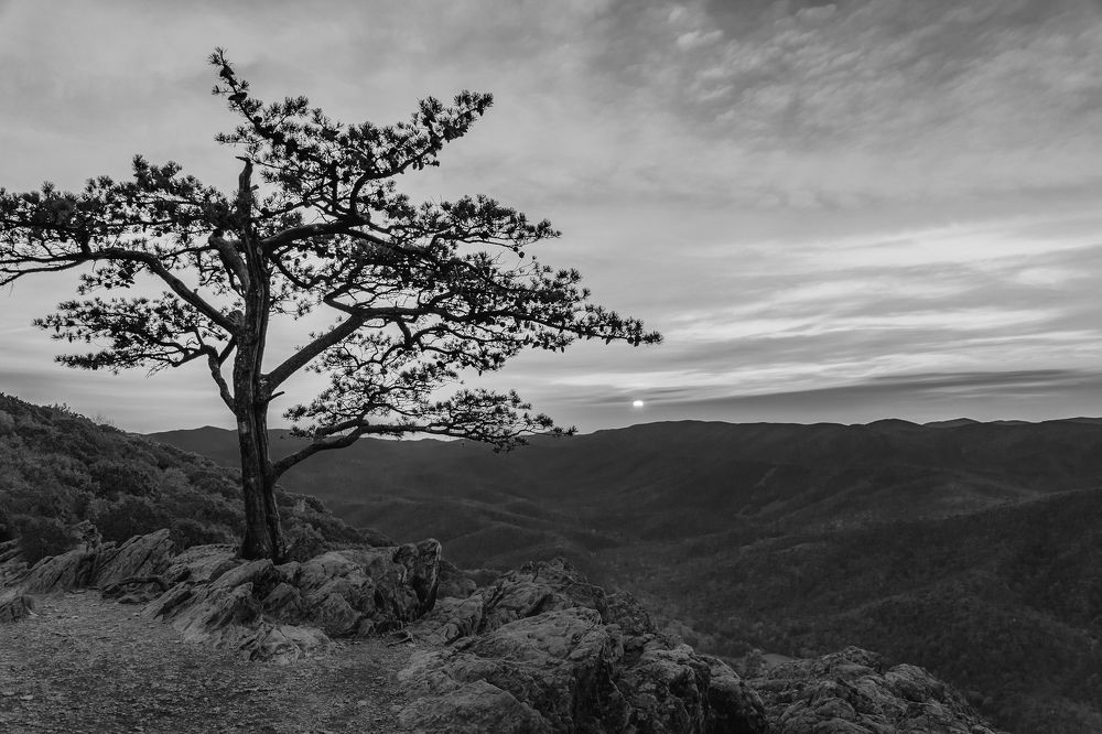 Photograph by Lisa Watkins