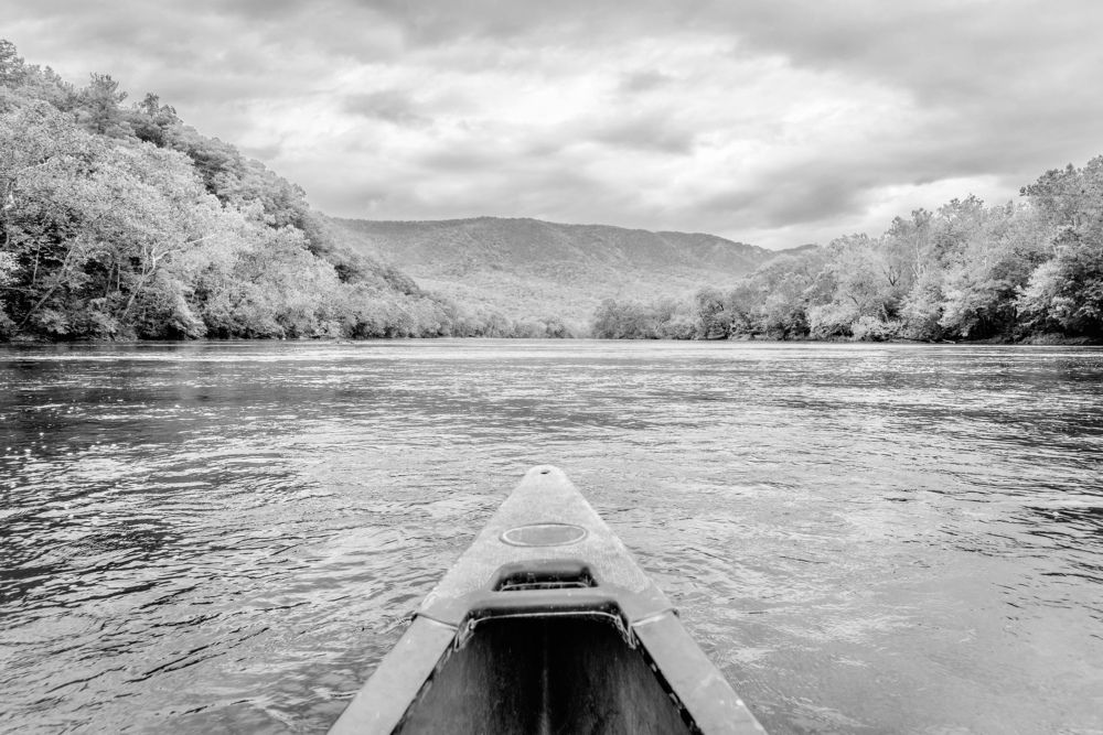 Photograph by Lisa Watkins