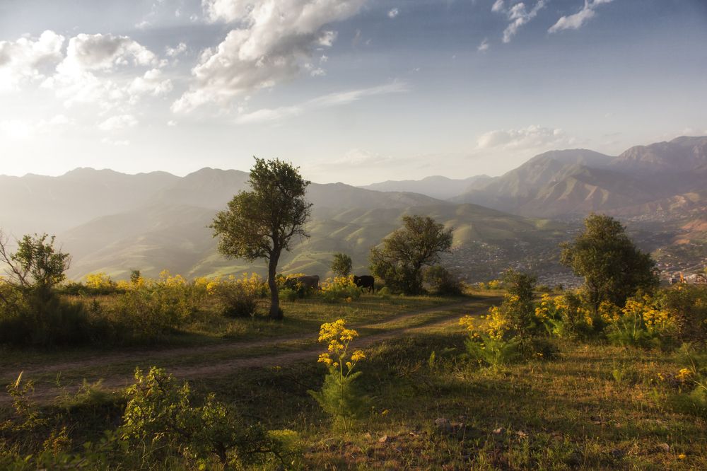 Photograph by Мария Фадеичева