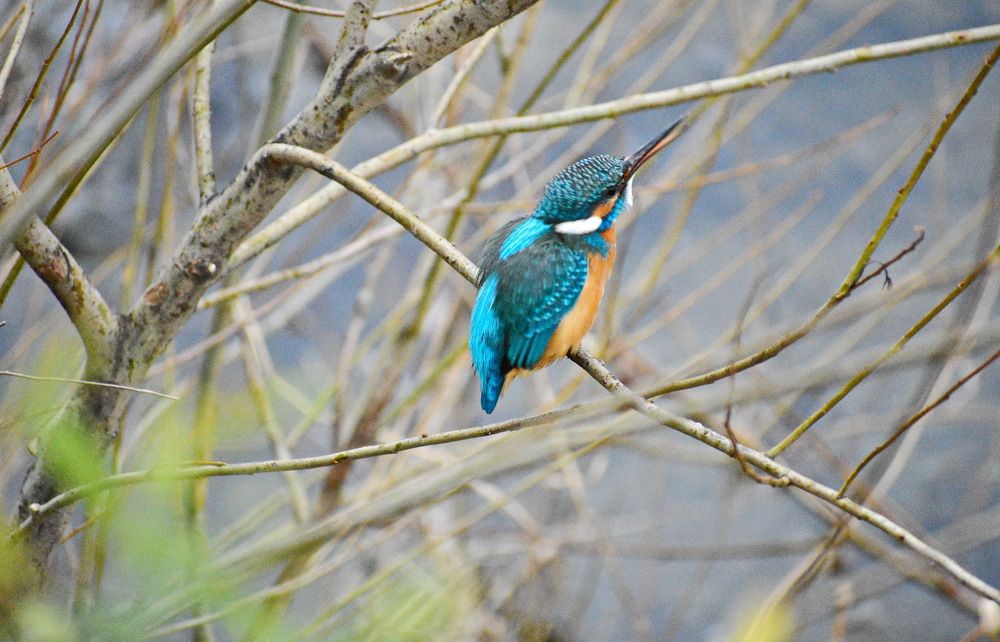 Фотография автора лилия беланова