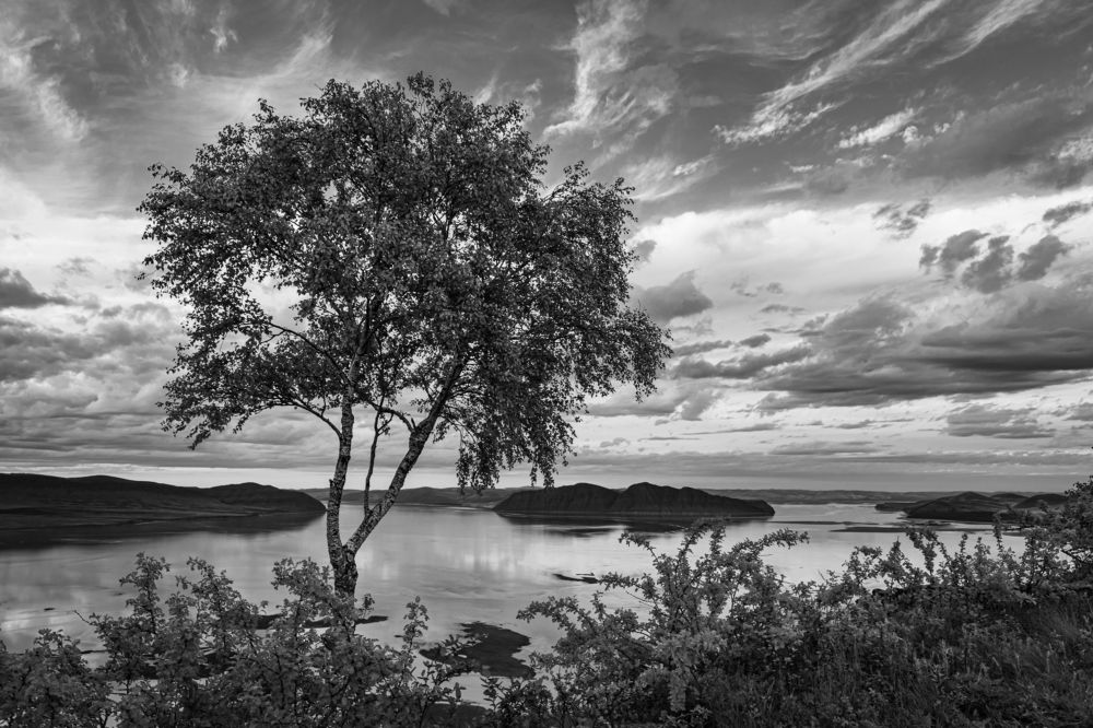 Photograph by Третьяков Александр