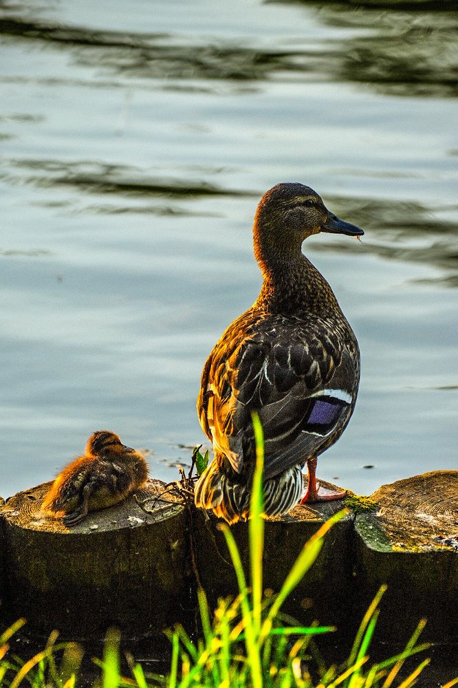 Photograph by Алексей Большаков
