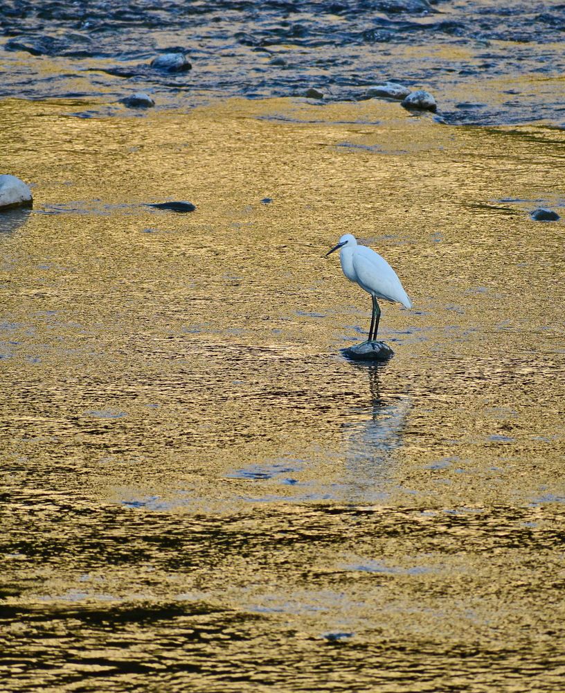 Фотография автора Беланова Лилия