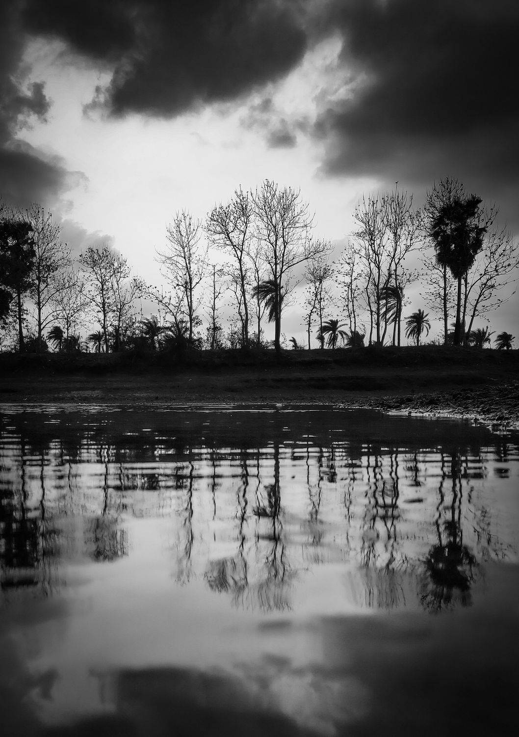 Moods of nature