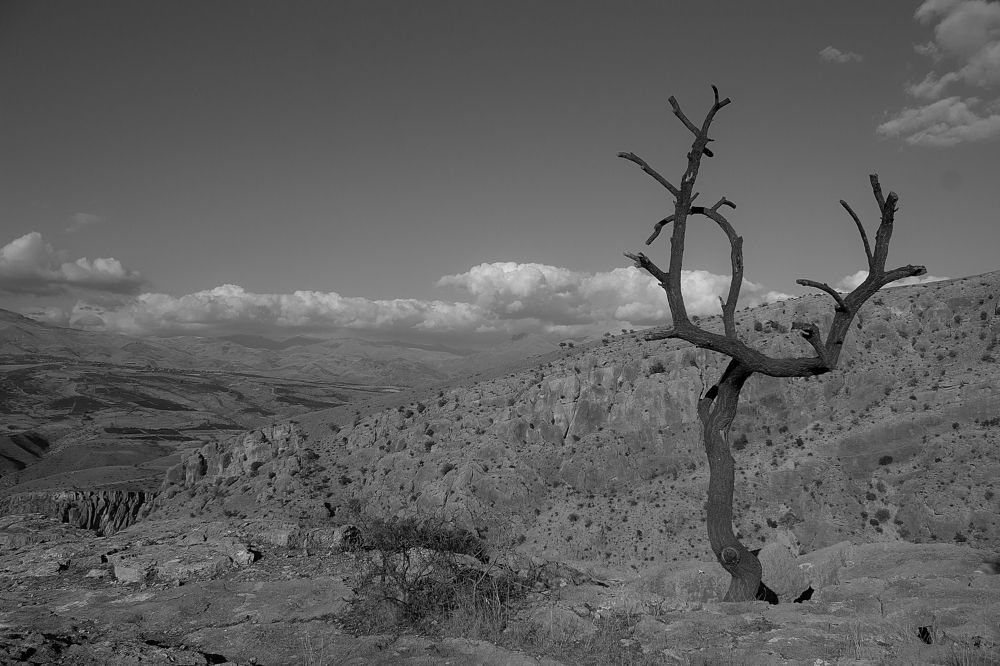 Photograph by Тигран Гукасян