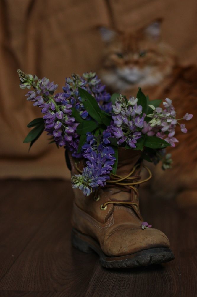 Photograph by Анжелика Медведева