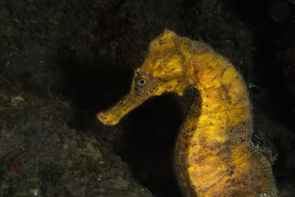 Фотография автора Jorge Gil Rodríguez