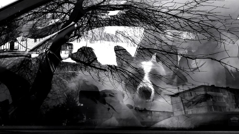 Photograph by Ирина Жукова