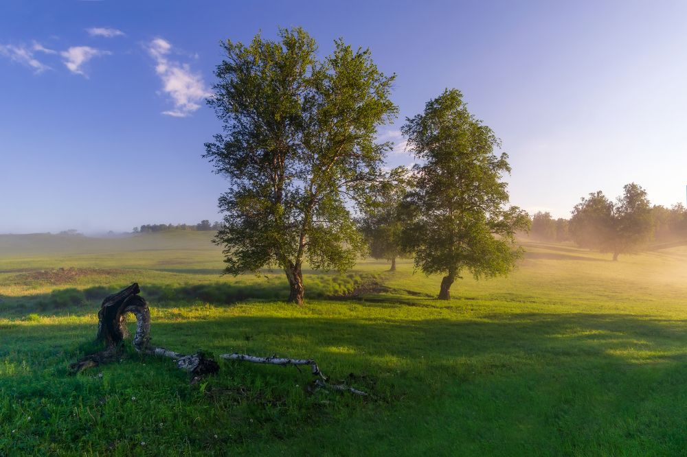 Photograph by Леонид Максименко