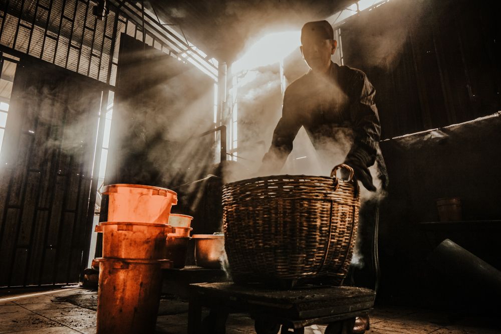 coffee factory worker