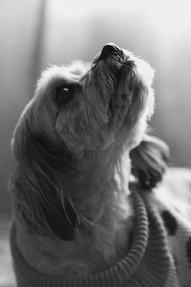 Photograph by Karla Makuc