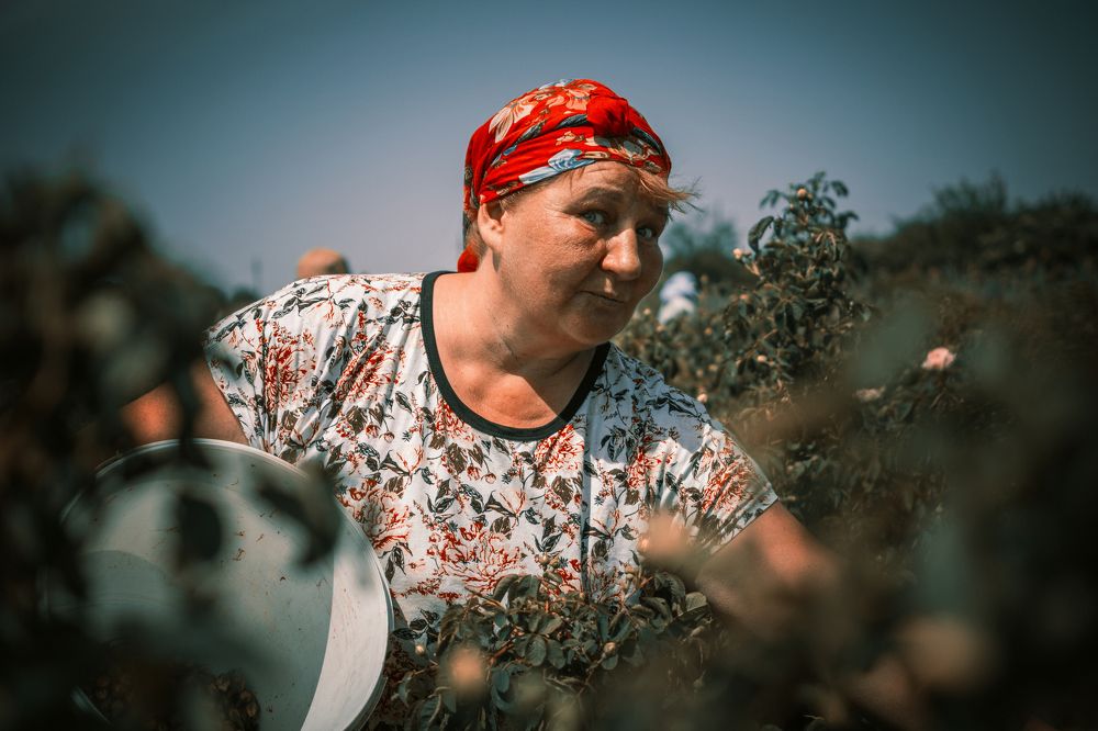 Photograph by Владимир Зайцев