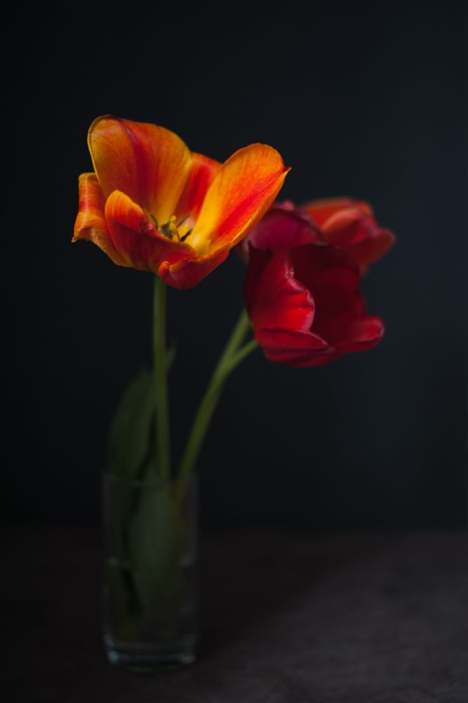 Photograph by Татьяна Николаева