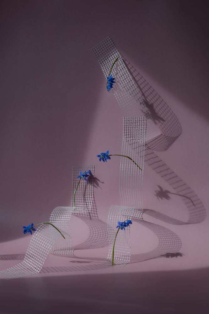 Фотография автора Светлана Бобошина