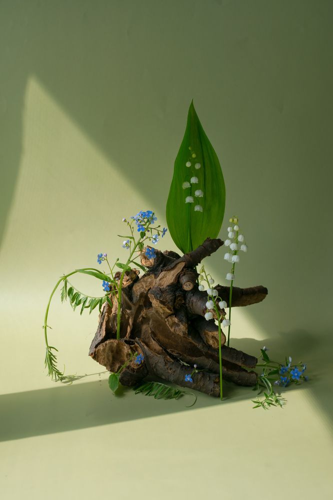 Фотография автора Светлана Бобошина