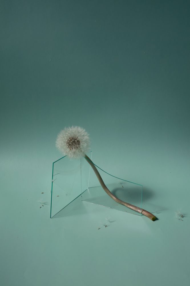 Фотография автора Светлана Бобошина