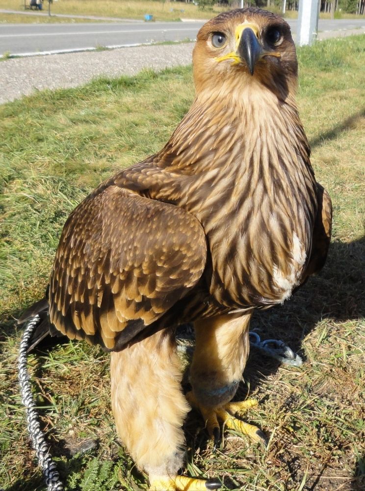 Photograph by Надежда