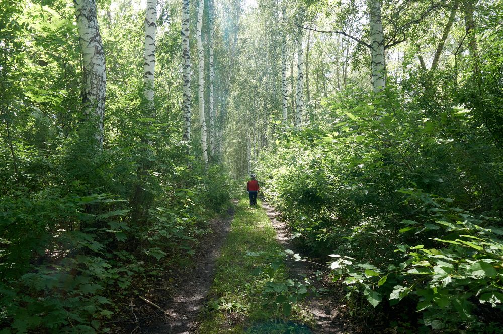 Photograph by Igor Kochkin