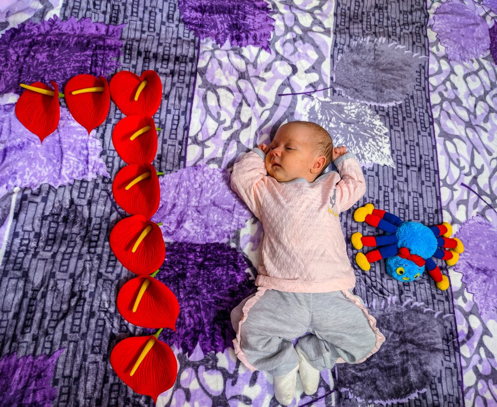 Photograph by mehdi shokravi