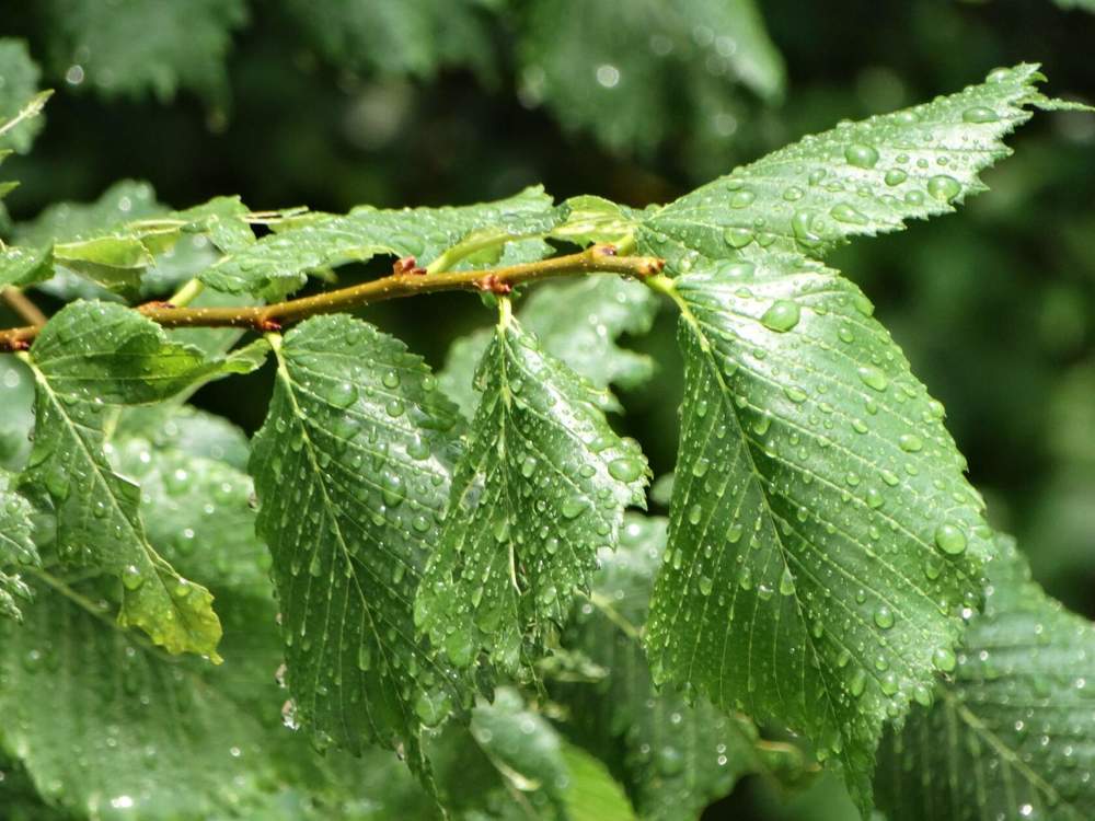 Photograph by Анжелика Трошина