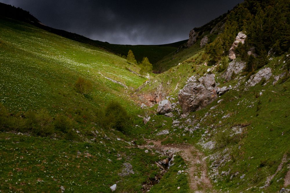 Photograph by Елена Шевченко