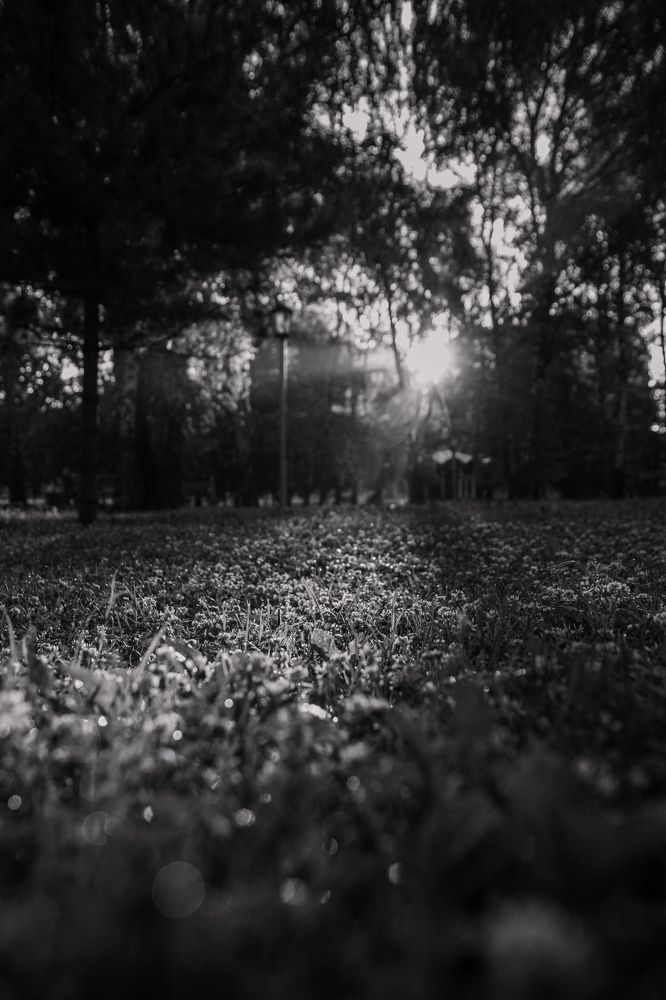Photograph by Ирина Гавенко