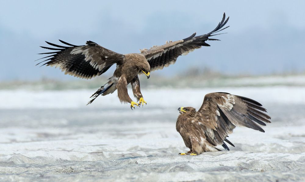 Photograph by Biswajit Mukherjee