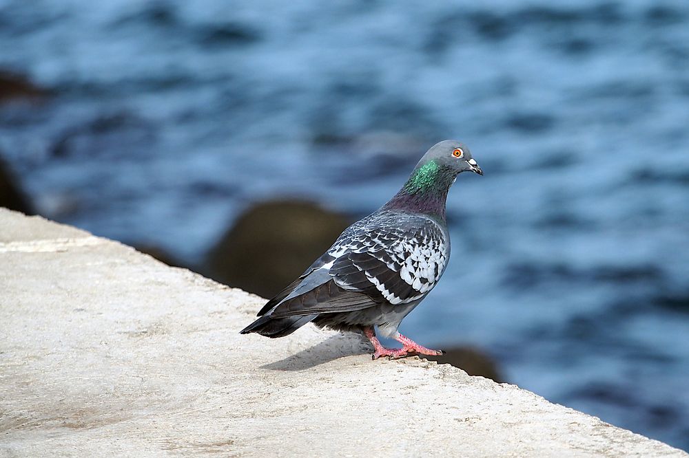 Photograph by Yana Marinova