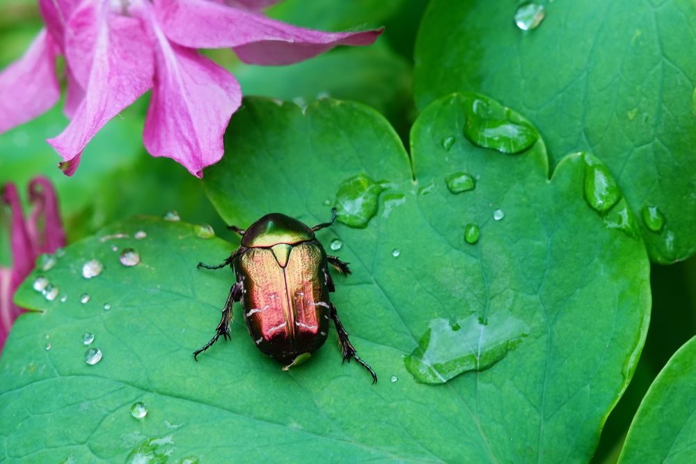 Photograph by Александр Кизим