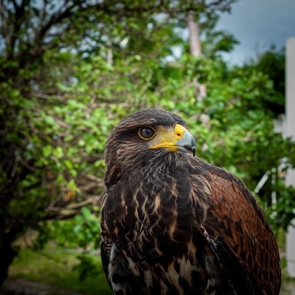 Photograph by Armando Lopez-Guerrero