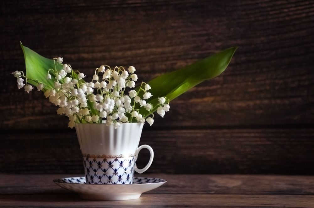 Photograph by Slesareva Nina