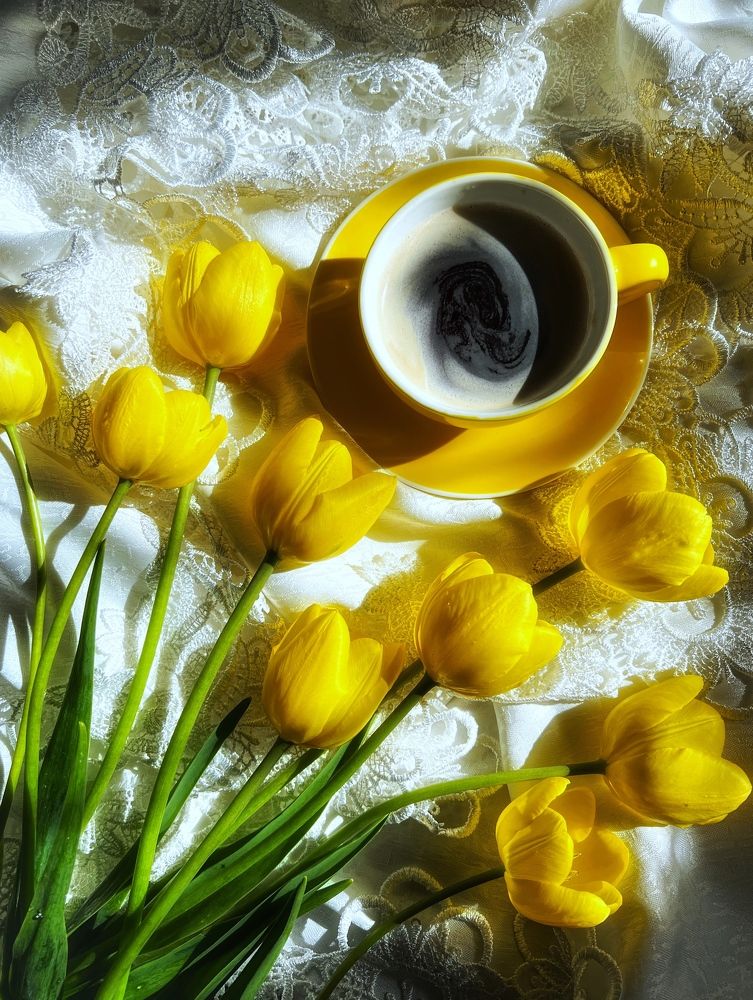 Photograph by Марина Нагичева