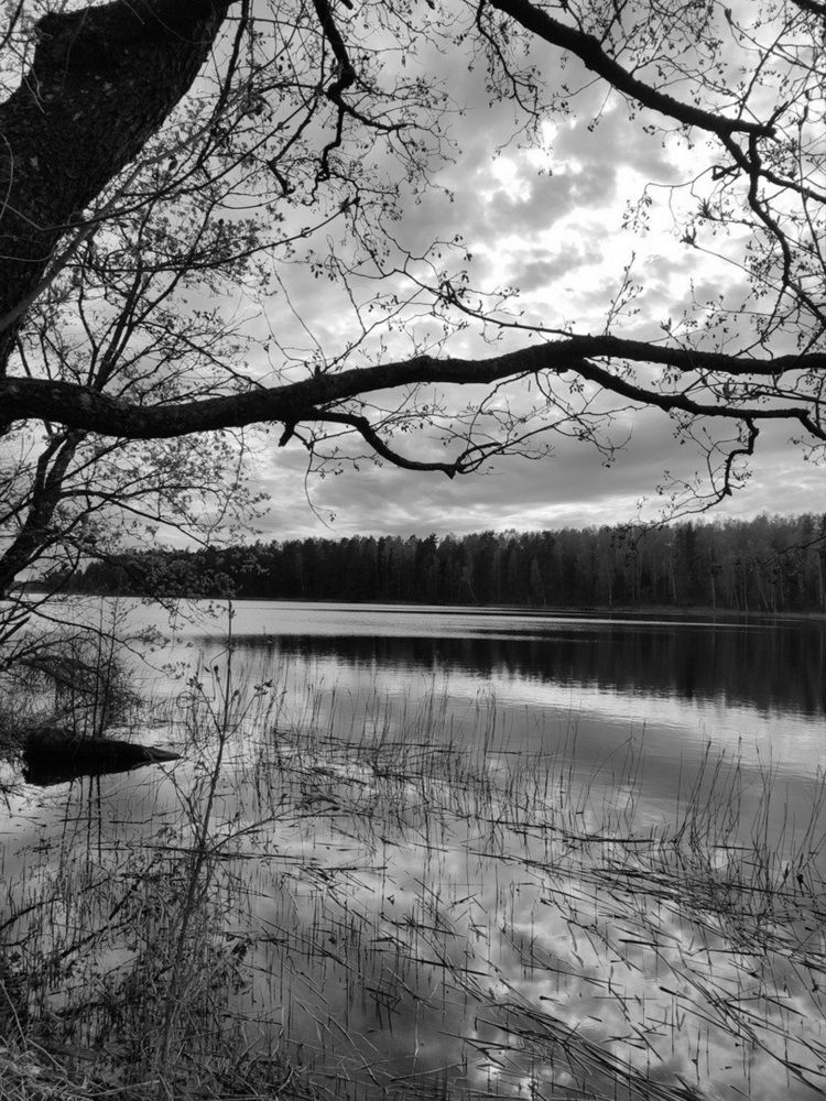 Photograph by Ирина Русинович