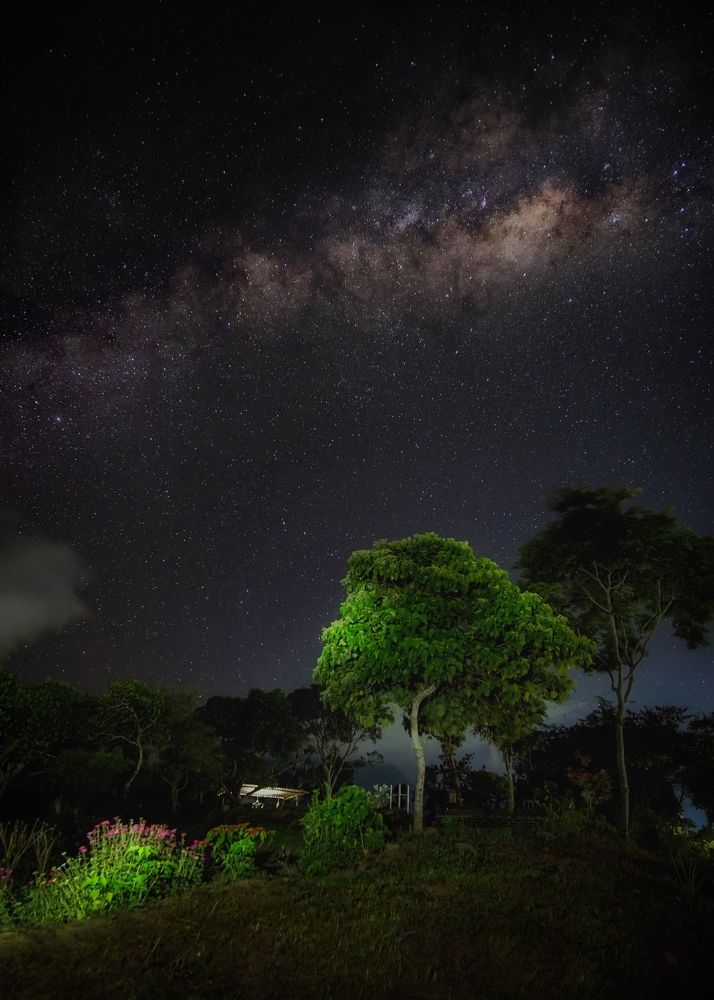 Фотография автора Henri Fitriadi