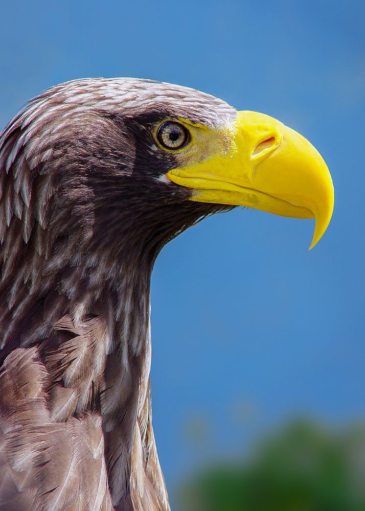 Photograph by Игорь Окунев